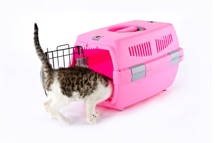 Pet Pet Pet Pet Pet Pet carrier large cat cage portable out of the dog large and small dog air consignment box Pet Pet Pet Pet Pet Pet carrier large cat cage portable out of the dog large and small dog air consignment box