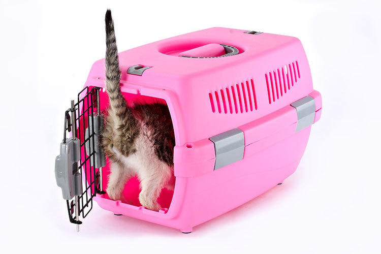 Pet Pet Pet Pet Pet Pet carrier large cat cage portable out of the dog large and small dog air consignment box Pet Pet Pet Pet Pet Pet carrier large cat cage portable out of the dog large and small dog air consignment box