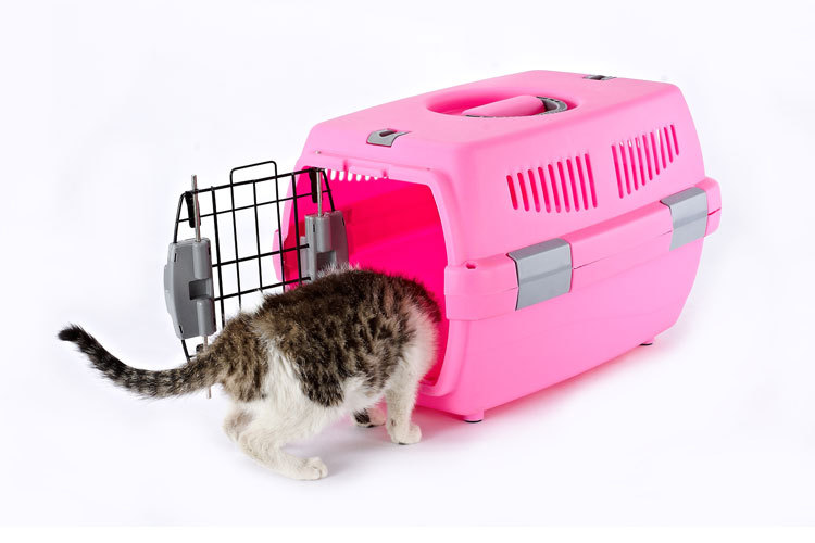 Pet Pet Pet Pet Pet Pet carrier large cat cage portable out of the dog large and small dog air consignment box Pet Pet Pet Pet Pet Pet carrier large cat cage portable out of the dog large and small dog air consignment box