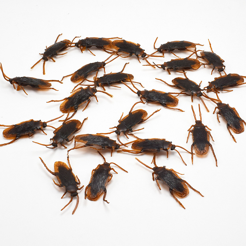 April Fool's Day Simulation Cockroach Xiaoqiang Trick Funny Disgusting Scary Toy Prank Props from AliExpress April Fool's Day Simulation Cockroach Xiaoqiang Trick Funny Disgusting Scary Toy Prank Props from AliExpress