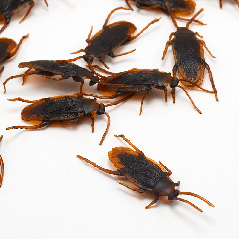 April Fool's Day Simulation Cockroach Xiaoqiang Trick Funny Disgusting Scary Toy Prank Props from AliExpress April Fool's Day Simulation Cockroach Xiaoqiang Trick Funny Disgusting Scary Toy Prank Props from AliExpress