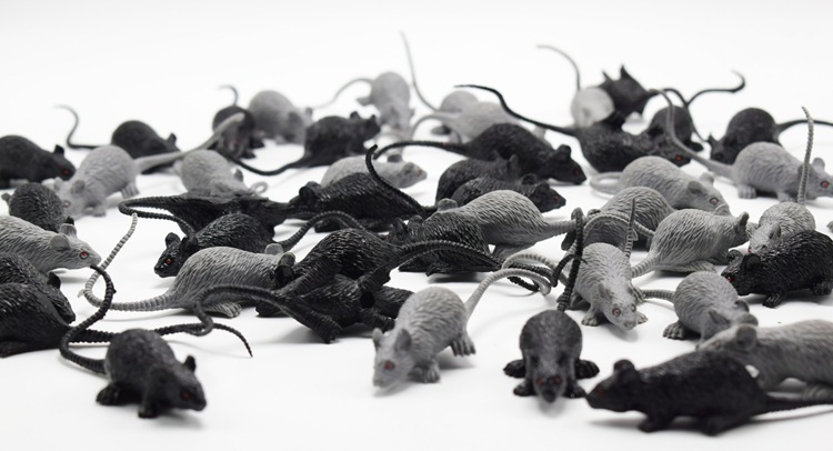 New Exotic Simulation Mini Mouse Model Prank Horror Scary Toy Halloween Toy New Exotic Simulation Mini Mouse Model Prank Horror Scary Toy Halloween Toy