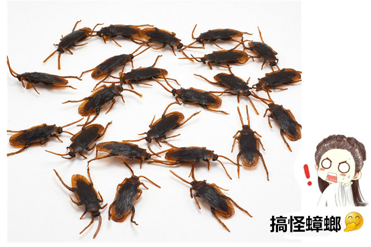 April Fool's Day Prank Whole Person Gift Trick Props Fake Cockroach Simulation prank Toy April Fool's Day Prank Whole Person Gift Trick Props Fake Cockroach Simulation prank Toy
