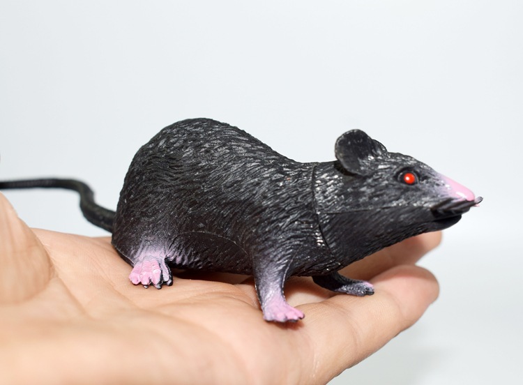 prank Toy New Exotic 22cmpvc Simulation Little Mouse Whole Toy Prank Toy Foreign Trade Hot Sale New Product