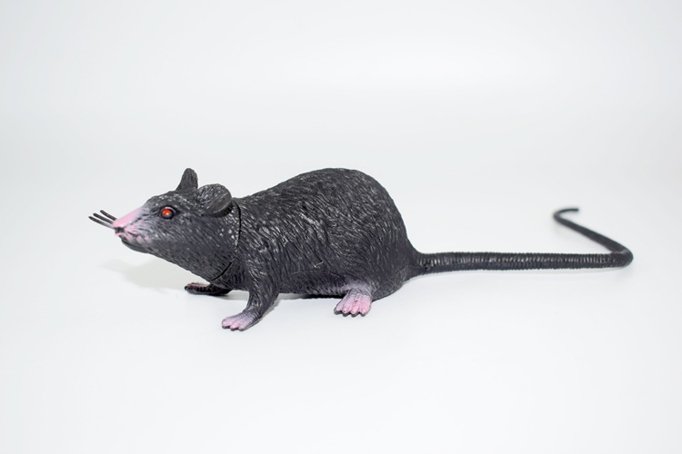 prank Toy New Exotic 22cmpvc Simulation Little Mouse Whole Toy Prank Toy Foreign Trade Hot Sale New Product
