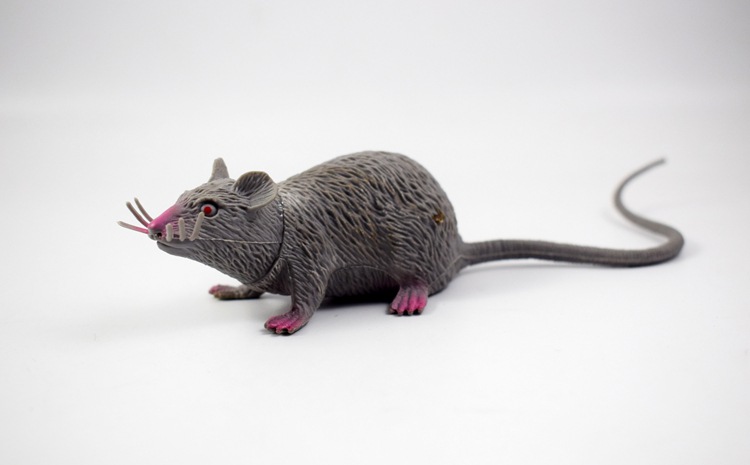 prank Toy New Exotic 22cmpvc Simulation Little Mouse Whole Toy Prank Toy Foreign Trade Hot Sale New Product