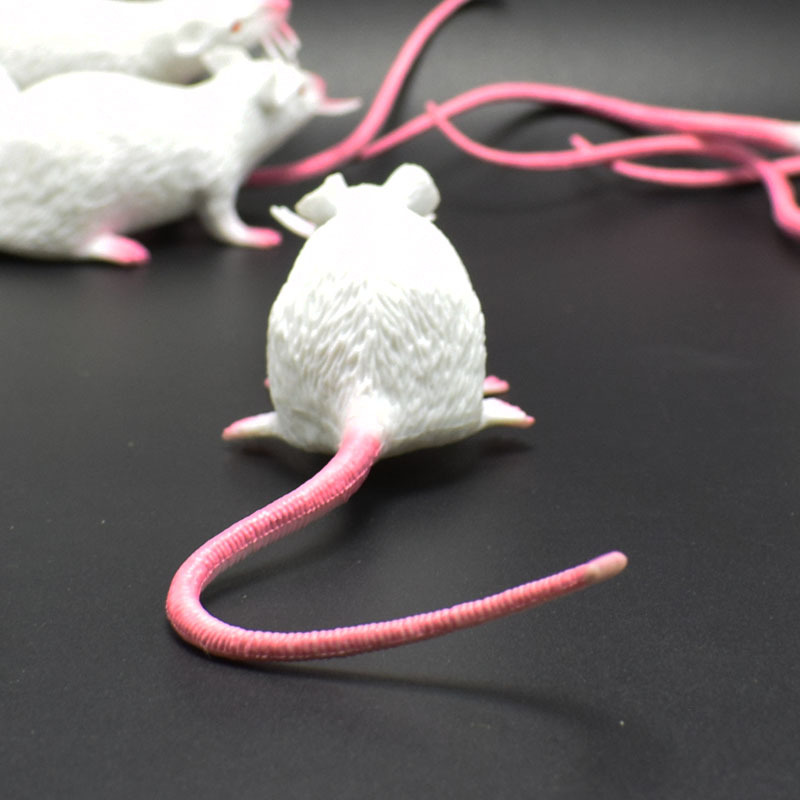 prank Toy New Exotic 22cmpvc Simulation Little Mouse Whole Toy Prank Toy Foreign Trade Hot Sale New Product