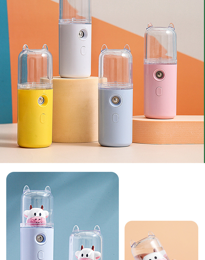 Nano Mist Sprayer Humidifier USB Rechargeable Facial Humidifier Beauty Cold Spray Maruko