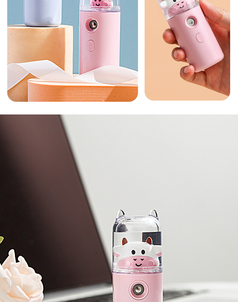 Nano Mist Sprayer Humidifier USB Rechargeable Facial Humidifier Beauty Cold Spray Maruko