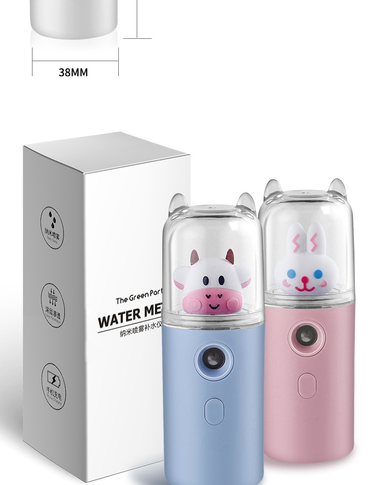 Nano Mist Sprayer Humidifier USB Rechargeable Facial Humidifier Beauty Cold Spray Maruko