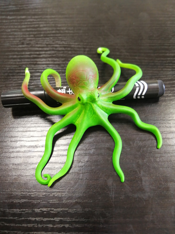 Animal Simulation Lizard Scorpion Spider Marine Animal Stall Hot Sale Trick Pressure Reduction Toy Plastic Spider Animal Simulation Lizard Scorpion Spider Marine Animal Stall Hot Sale Trick Pressure Reduction Toy Plastic Spider