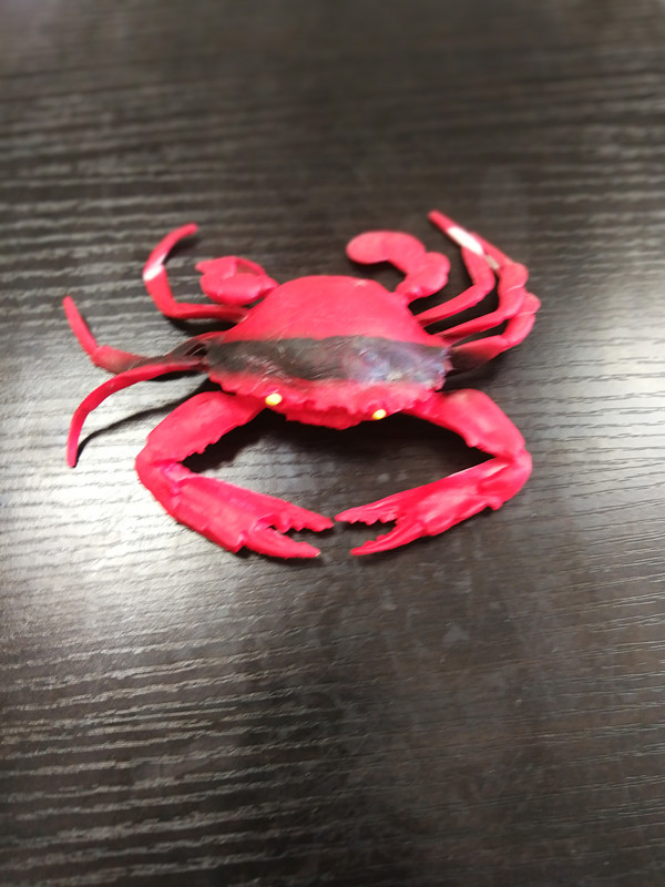 Animal Simulation Lizard Scorpion Spider Marine Animal Stall Hot Sale Trick Pressure Reduction Toy Plastic Spider Animal Simulation Lizard Scorpion Spider Marine Animal Stall Hot Sale Trick Pressure Reduction Toy Plastic Spider