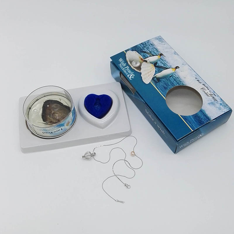 DIY Creative Necklace Ornament Gift Box Set Love Pearl Love Pearl Souvenir Birthday Holiday Gift