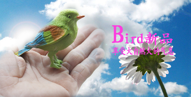 Yiwu Factory Novelty Toys Creative Simulation Will Call Cute Color Sound Control Bird-New Exotic Toy Products