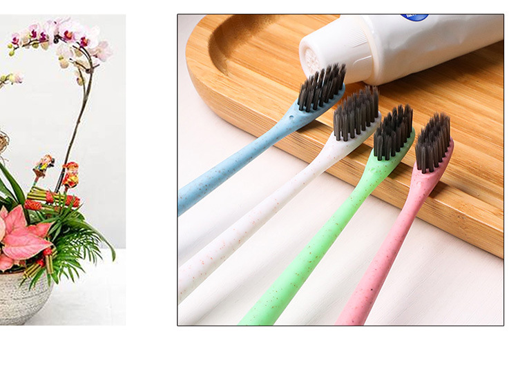 Wheat Straw Children's Toothbrush Filament Soft Hair Adult Portable Travel Couple Bamboo Charcoal Head Single Tube Packing Toothbrush Wheat Straw Children's Toothbrush Filament Soft Hair Adult Portable Travel Couple Bamboo Charcoal Head Single Tube Packing Toothbrush