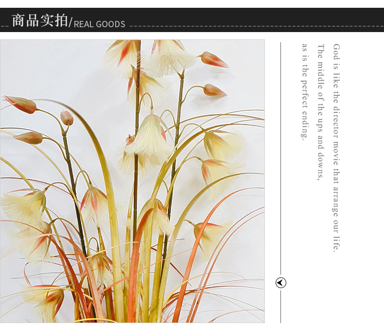Cross-Border Plant Pot Dried Reed Flower Hanging Bell Flower Bonsai Fake Flower Decoration Nordic Room Floor Table-Top Decoration Cross-Border Plant Pot Dried Reed Flower Hanging Bell Flower Bonsai Fake Flower Decoration Nordic Room Floor Table-Top Decoration