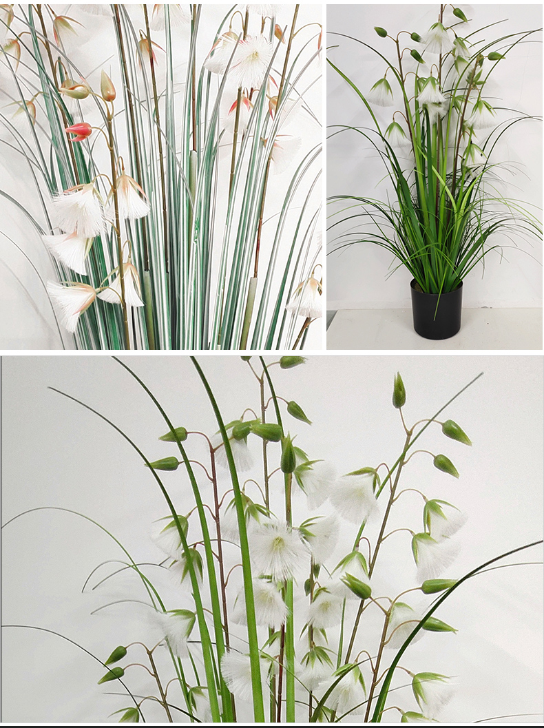 Cross-Border Plant Pot Dried Reed Flower Hanging Bell Flower Bonsai Fake Flower Decoration Nordic Room Floor Table-Top Decoration Cross-Border Plant Pot Dried Reed Flower Hanging Bell Flower Bonsai Fake Flower Decoration Nordic Room Floor Table-Top Decoration
