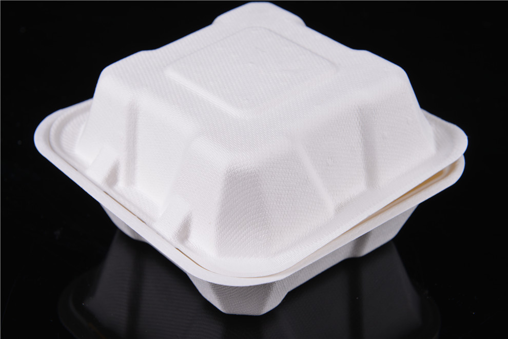 Disposable Rectangular Pulp Lunch Boxes Lunch Box Fast Food Box Commercial to-Go Box with Lid Light Food Environmentally Friendly and Degradable Disposable Rectangular Pulp Lunch Boxes Lunch Box Fast Food Box Commercial to-Go Box with Lid Light Food Environmentally Friendly and Degradable