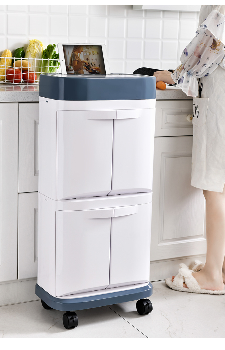 Nordic Dustbin Household Kitchen Living Room Creative brush large double classification with Lid Dry wet Dumpster Nordic Dustbin Household Kitchen Living Room Creative brush large double classification with Lid Dry wet Dumpster