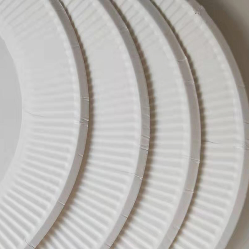 8 \&#034;disposable fine grain plate white paper plate cake plate drawing paper plate kindergarten early education