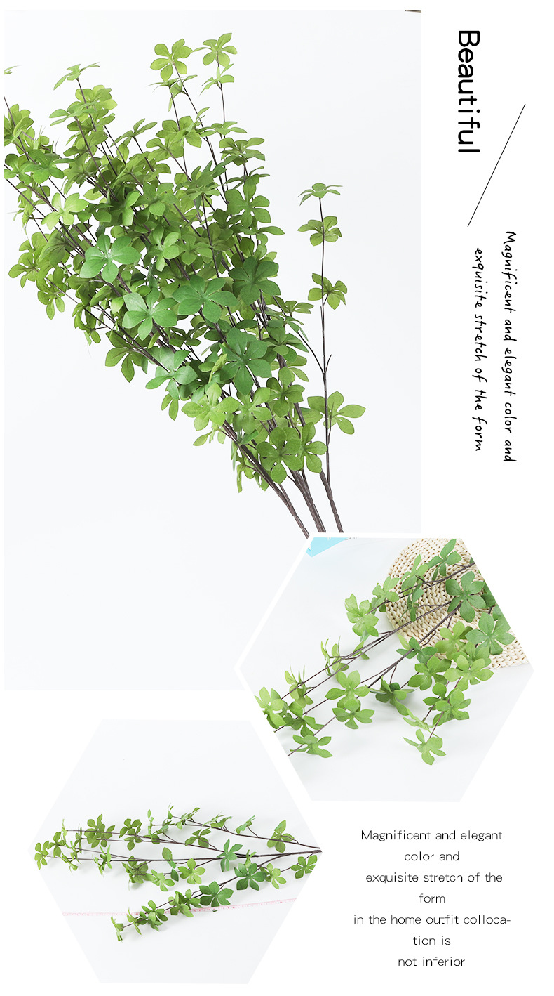 Green Plant Bonsai Wedding Decoration Multi-Leaf Home Simulation Wholesale Japanese Bell Soft Decoration Zamioculcas Leaves Money Tree Green Plant Bonsai Wedding Decoration Multi-Leaf Home Simulation Wholesale Japanese Bell Soft Decoration Zamioculcas Leaves Money Tree