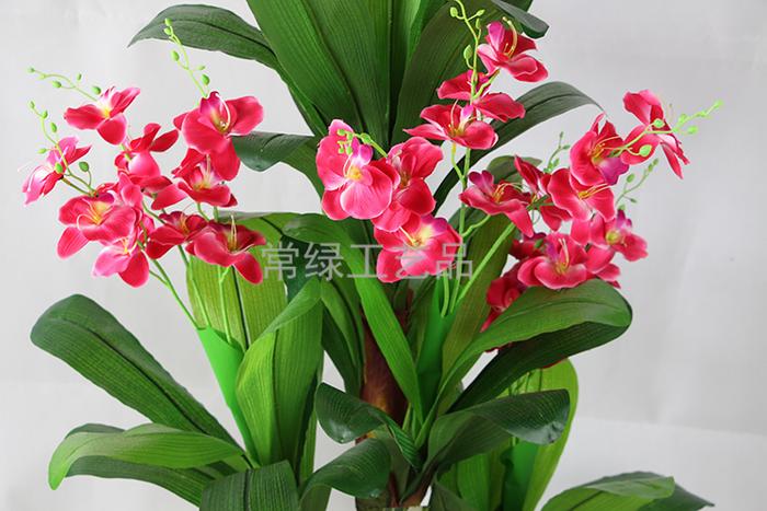 Phalaenopsis plant simulation feel spiral fake fake flowers crafts artificial tree Phalaenopsis plant simulation feel spiral fake fake flowers crafts artificial tree