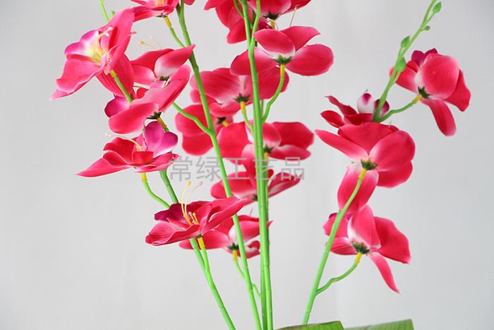 Phalaenopsis plant simulation feel spiral fake fake flowers crafts artificial tree Phalaenopsis plant simulation feel spiral fake fake flowers crafts artificial tree