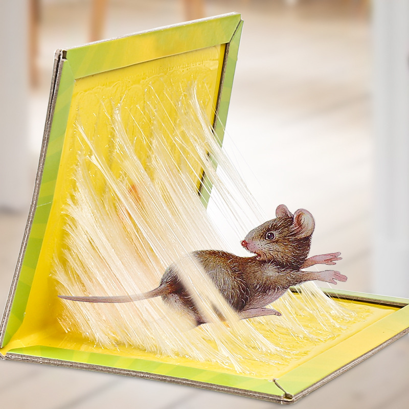 Household mouse cage with glue mousetrap with medicine to catch rats with glue rat trap with powerful sticky board to
