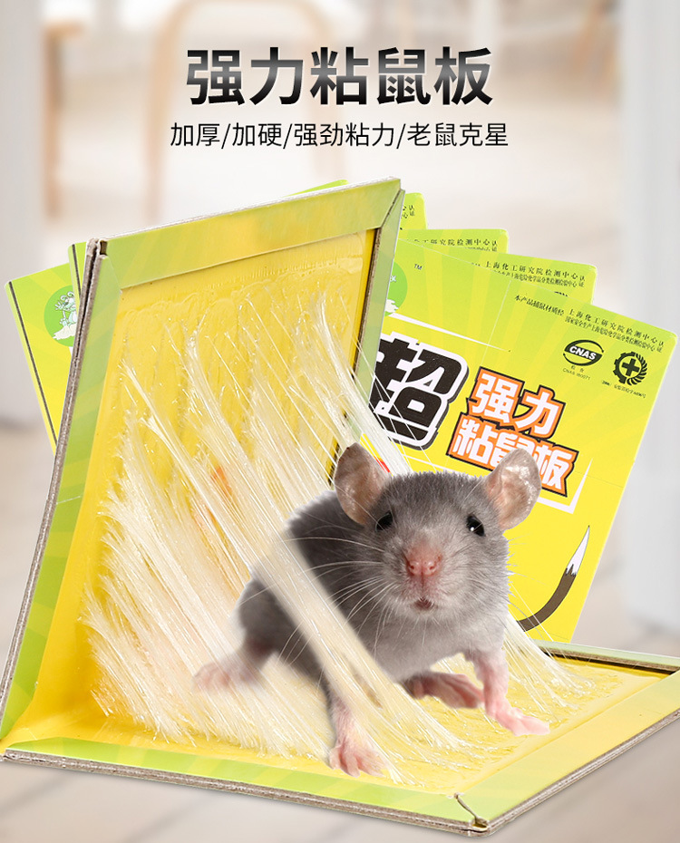 Household mouse cage with glue mousetrap with medicine to catch rats with glue rat trap with powerful sticky board to