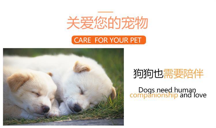 Factory Direct Sales Coasters Heat Insulation Anti-Scald Coaster Non-Slip Stain-Resistant Dog Coasters Cotton String Pet Bowl Pad Coasters Customization Factory Direct Sales Coasters Heat Insulation Anti-Scald Coaster Non-Slip Stain-Resistant Dog Coasters Cotton String Pet Bowl Pad Coasters Customization