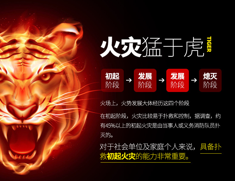 Car for Car Fire Extinguisher Car Car Household Dry Powder Small Portable Fire Protection Equipment Set Car for Car Fire Extinguisher Car Car Household Dry Powder Small Portable Fire Protection Equipment Set