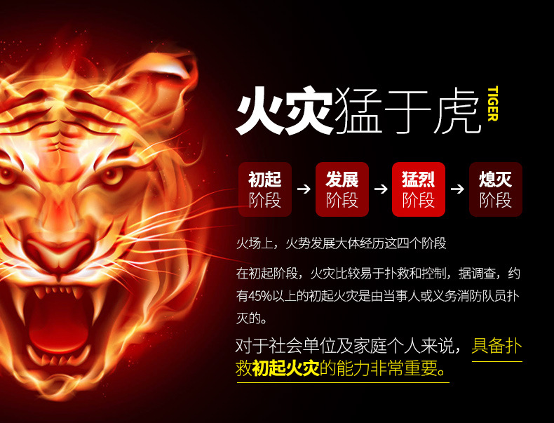 Car Home Car Fire Equipment Car Water-Based Private Car Small Portable Car Fire Extinguisher Car Home Car Fire Equipment Car Water-Based Private Car Small Portable Car Fire Extinguisher