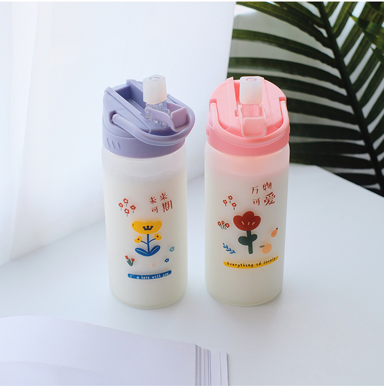 Frosted straw glasses cartoon Drinking Glasses Ins style Straws for students fashion gifts for girls