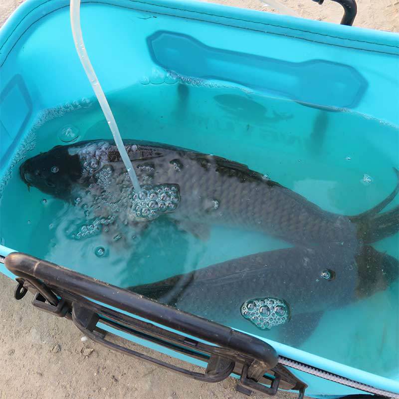 Factory Special Offer Folding Eva Fishing Bucket Fish Bucket Thickened Multi-Functional New Live Fish Bucket Fish Box Fish Bucket