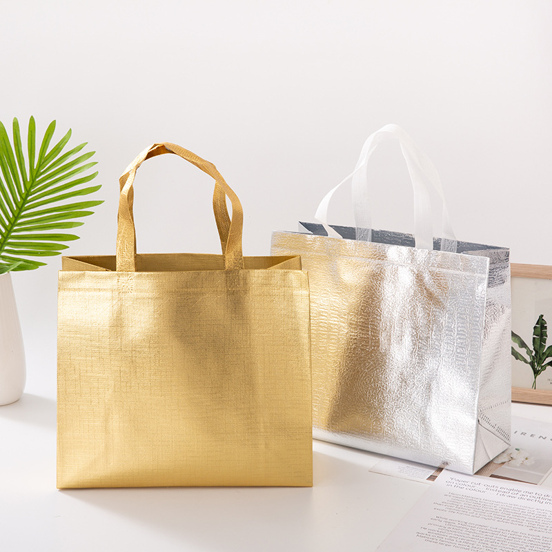 Non-Woven Handbag Nonwoven Fabric Bag Fixed Logo Advertising Non-Woven Shopping Bag Non-Woven Shoe Bags Wholesale