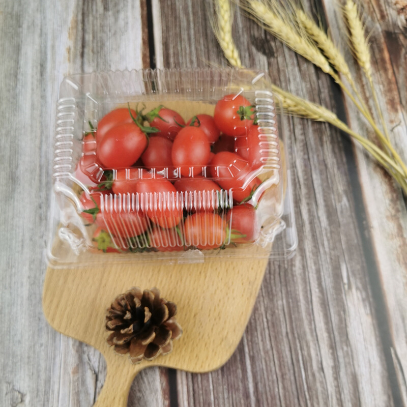 Plastic Cake Box J306 Blister Cake Hamburger Box Transparent Blister Packaging Disposable to-Go Box