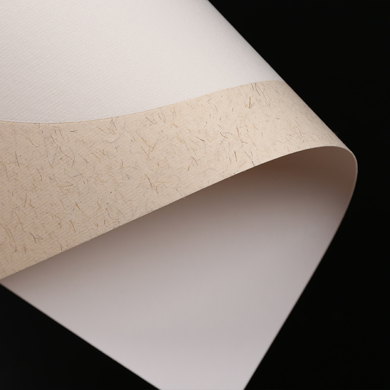Jiahousheng Xuan Paper Blank Processed Rice Paper Meticulous Painting Chinese Calligraphy Paper Half-Sized Watercolor Painting Soft Paperboard Xuan Paper