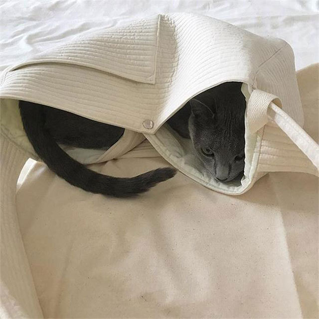 Korean Style Handmade Canvas Bag Cute Pet Bag Ulzzang Messenger Bag Women's Bag Shoulder Bag Korean Style Handmade Canvas Bag Cute Pet Bag Ulzzang Messenger Bag Women's Bag Shoulder Bag