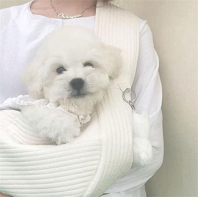 Korean Style Handmade Canvas Bag Cute Pet Bag Ulzzang Messenger Bag Women's Bag Shoulder Bag Korean Style Handmade Canvas Bag Cute Pet Bag Ulzzang Messenger Bag Women's Bag Shoulder Bag