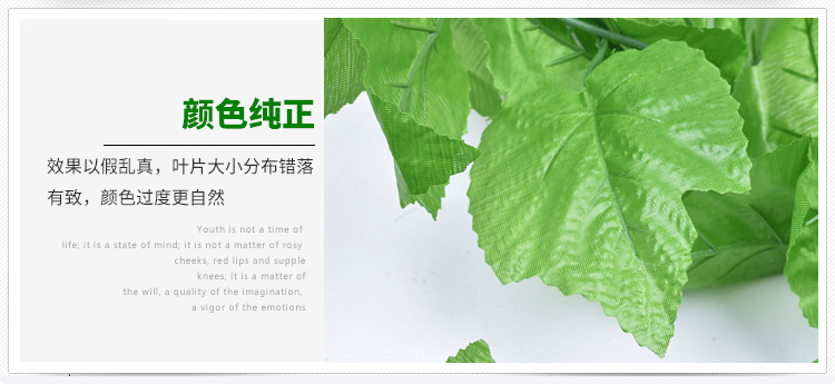 Simulation Rattan Ivy Plant Grape Leaves Green Leaves Plastic Fake Flower Water Pipe Winding Vine Ceiling Decoration Simulation Rattan Ivy Plant Grape Leaves Green Leaves Plastic Fake Flower Water Pipe Winding Vine Ceiling Decoration
