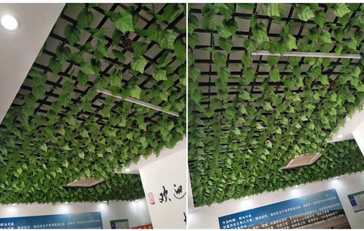 Simulation Rattan Ivy Plant Grape Leaves Green Leaves Plastic Fake Flower Water Pipe Winding Vine Ceiling Decoration Simulation Rattan Ivy Plant Grape Leaves Green Leaves Plastic Fake Flower Water Pipe Winding Vine Ceiling Decoration