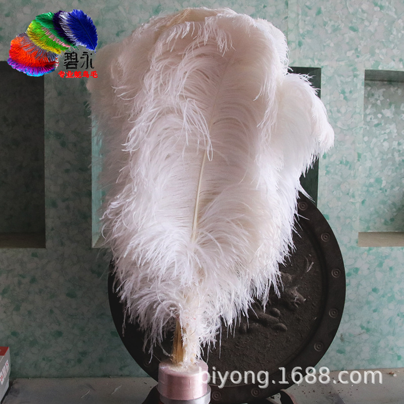 Feather Full Size 10-90cm Full Size Full Color Feather Clothing Accessories Wedding Celebration Decoration Ostrich Hair
