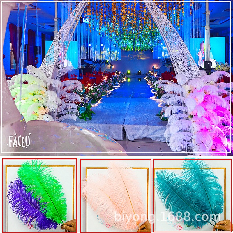 Feather Full Size 10-90cm Full Size Full Color Feather Clothing Accessories Wedding Celebration Decoration Ostrich Hair