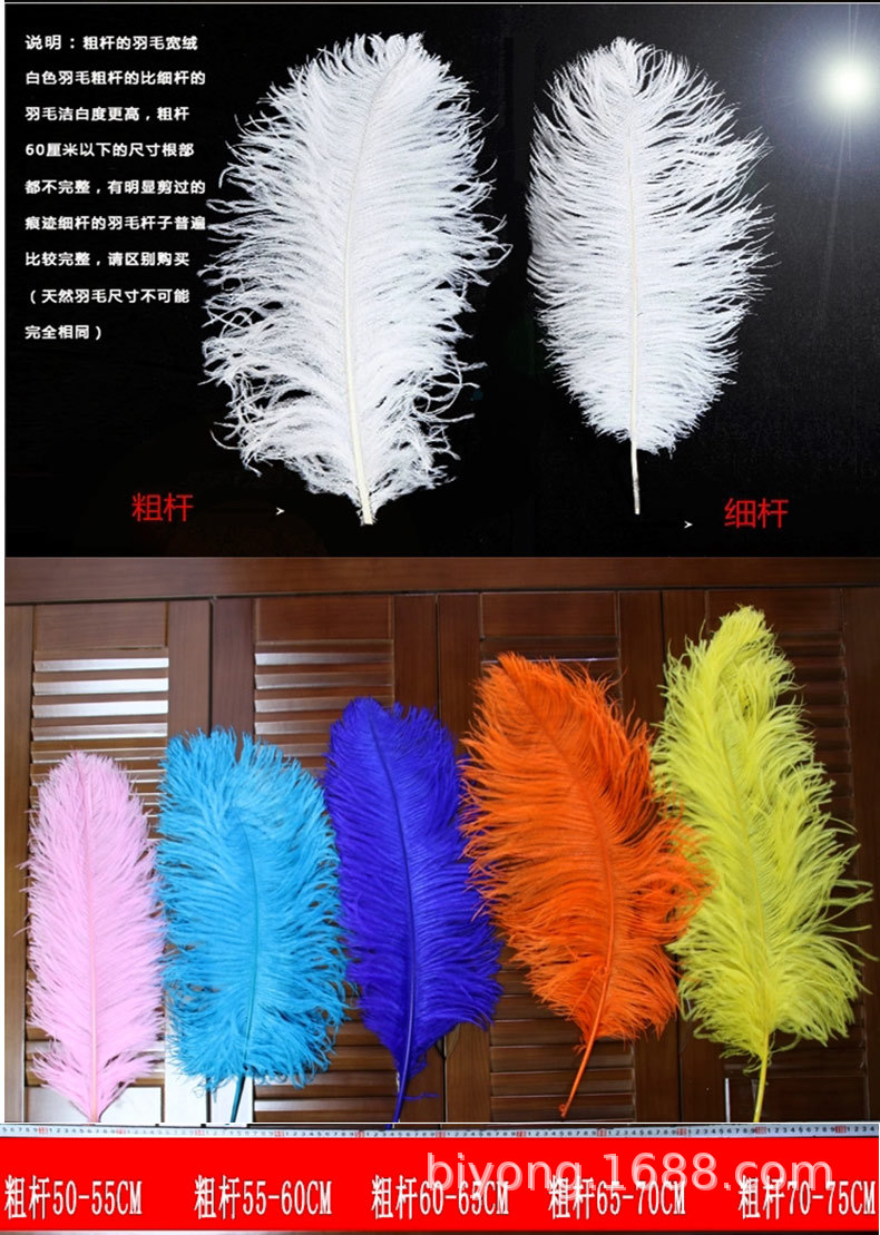 Feather Full Size 10-90cm Full Size Full Color Feather Clothing Accessories Wedding Celebration Decoration Ostrich Hair