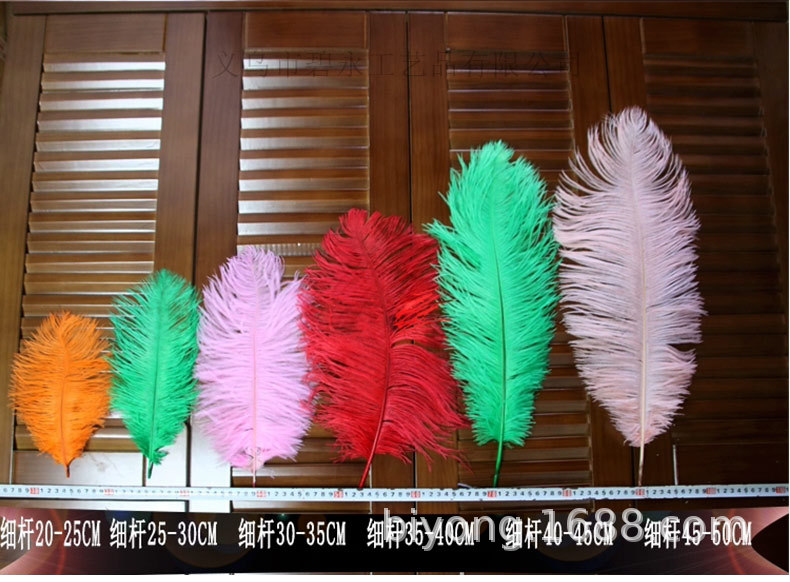 Feather Full Size 10-90cm Full Size Full Color Feather Clothing Accessories Wedding Celebration Decoration Ostrich Hair
