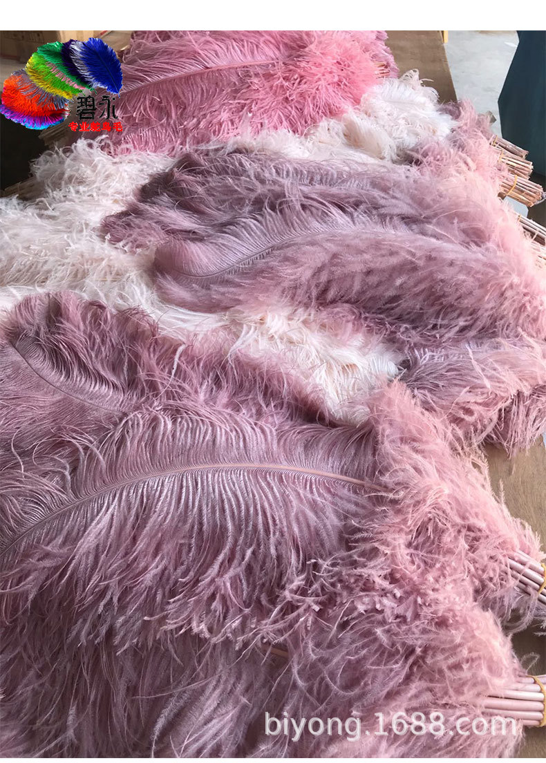 Feather Full Size 10-90cm Full Size Full Color Feather Clothing Accessories Wedding Celebration Decoration Ostrich Hair