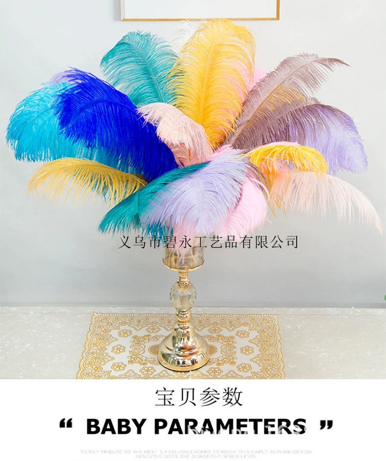 Feather Full Size 10-90cm Full Size Full Color Feather Clothing Accessories Wedding Celebration Decoration Ostrich Hair