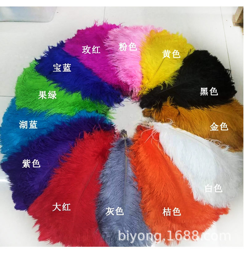 Feather Full Size 10-90cm Full Size Full Color Feather Clothing Accessories Wedding Celebration Decoration Ostrich Hair