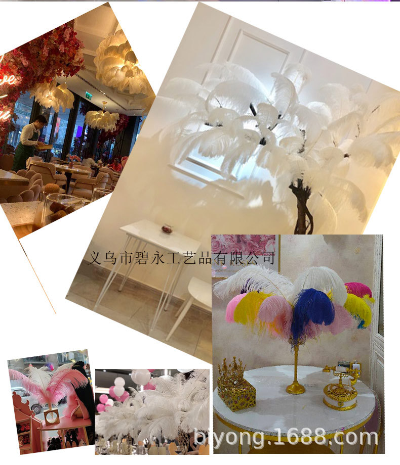 Feather Full Size 10-90cm Full Size Full Color Feather Clothing Accessories Wedding Celebration Decoration Ostrich Hair