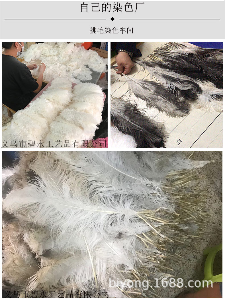 Feather Full Size 10-90cm Full Size Full Color Feather Clothing Accessories Wedding Celebration Decoration Ostrich Hair